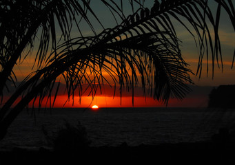 今天分享一些生活小常识英语