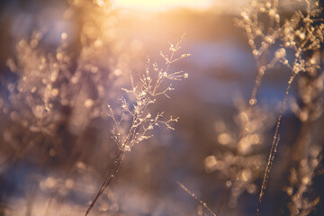 流泉村位于哪个省