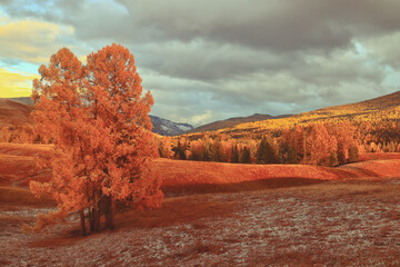 你适合浓妆还是淡妆 选对妆容才能站稳c位