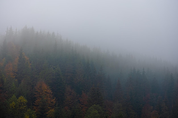 八月完美收官九月再接再厉的句子