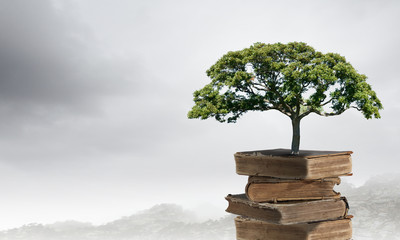 今天分享一些生活小常识英语